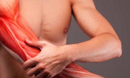Jaga Kekuatan Tubuh! Kehilangan Massa Otot Di Usia 40-an