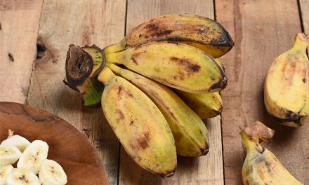 Kaya Nutrisi! Ini Alasan Pisang Kepok Baik Untuk Kesehatan Tubuh
