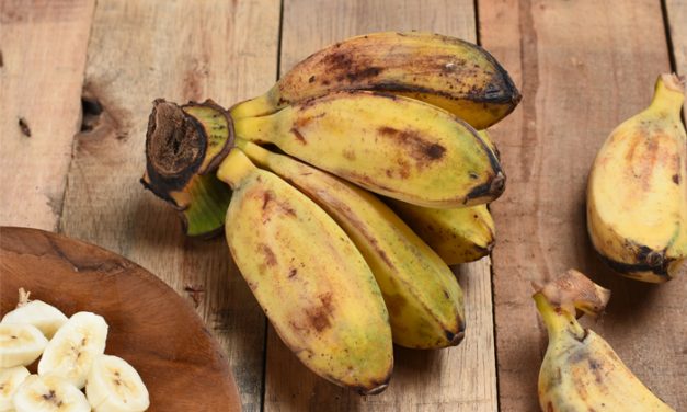 Kaya Nutrisi! Ini Alasan Pisang Kepok Baik Untuk Kesehatan Tubuh